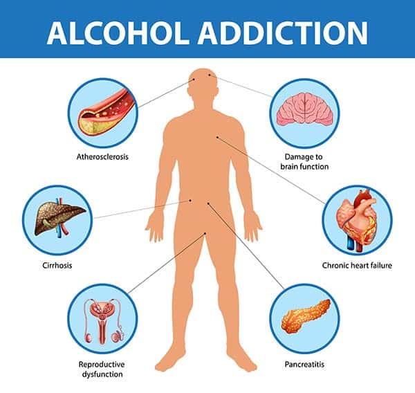 Facts-about-alcohol-addiction2 The physical effects of alcohol addiction on the human body
